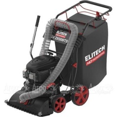 Пылесос садовый бензиновый Elitech HD GV 2958WTS (E1608.008.00) в Великих Луках