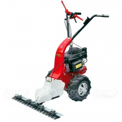 Бензиновая сенокосилка Eurosystems Minieffe 502 RM B&S 625EXi в Великих Луках