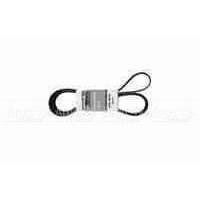 Pubert 0306030032 Ремень привода для Promo в Великих Луках