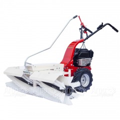 Подметальная машина Eurosystems M800 B&S 450 Series в Великих Луках