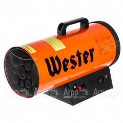 Газовая тепловая пушка Wester TG-20 в Великих Луках
