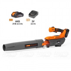 Воздуходувка аккумуляторная Daewoo DABL 5521Li SET в Великих Луках