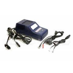 Автоматическое зарядное устройство AccuGard Cramer в Великих Луках