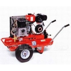 Компрессор дизельный Agri 55 Diesel в Великих Луках