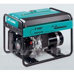 Бензогенератор Eisemann P 4401 Profiline 5,4 кВт в Великих Луках