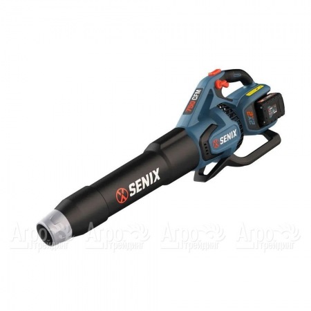 Воздуходувка аккумуляторная Senix BLAX2-M2-EU в Великих Луках