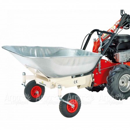Оцинкованная тачка для Eurosystems P 70 в Великих Луках