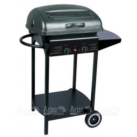 Гриль-барбекю газовый Green Glade RH-2210A в Великих Луках