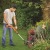 Аккумуляторный триммер Black+Decker ST1823 в Великих Луках