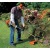 Бензокоса (бензиновый триммер) Stihl FS 55 Autocut в Великих Луках