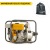 Бензиновая мотопомпа Caiman CP-205ST 01-040101-0005 в Великих Луках