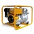 Бензиновая мотопомпа Caiman QP-T205SLT 01-040101-0031 в Великих Луках