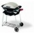 Газовый гриль Weber® Q™ в Великих Луках