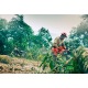Бензопила Husqvarna 455 Rancher-15&quot; в Великих Луках