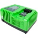 Быстрое зарядное устройство Greenworks G40UC5 в Великих Луках