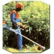 Бензокоса (бензиновый триммер) Stihl FS 55 Autocut в Великих Луках